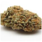 Шишки AK47  (Гидропоника, Бошка) VHQ в Мичуринске